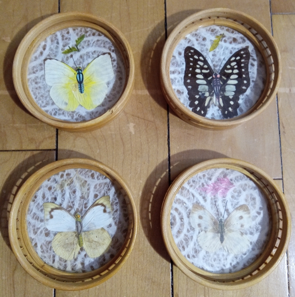 Vintage Decorative Bamboo and Rattan Pressed Butterfly Coasters Set of 4
